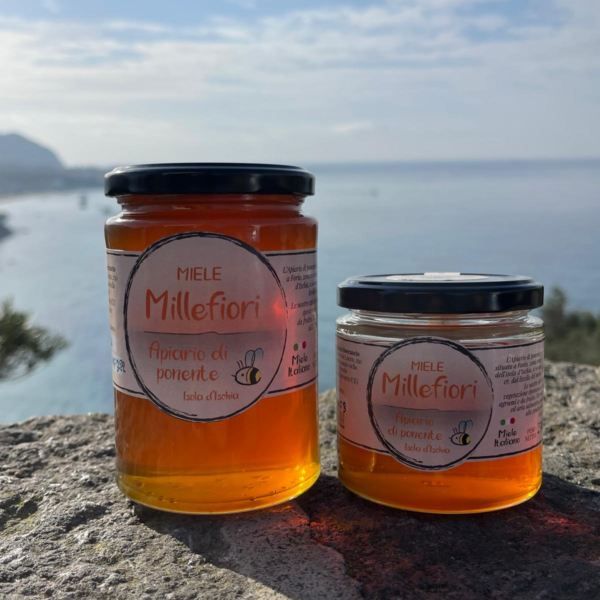 Miele Millefiori - Apiario di Ponente