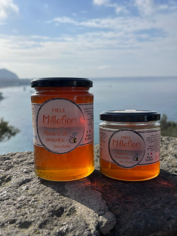 Miele Millefiori - Apiario di Ponente